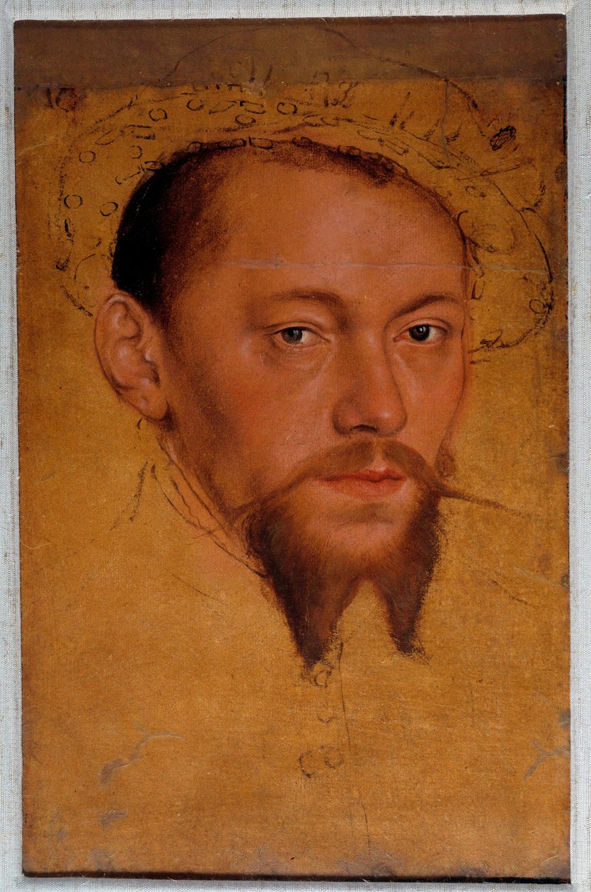 صورة لموريس ساكسونيا (1521-1553). رسم باستيل للوكاس كراناش ذا جون (1515-1586) بواسطة لوكاس الأصغر حجما