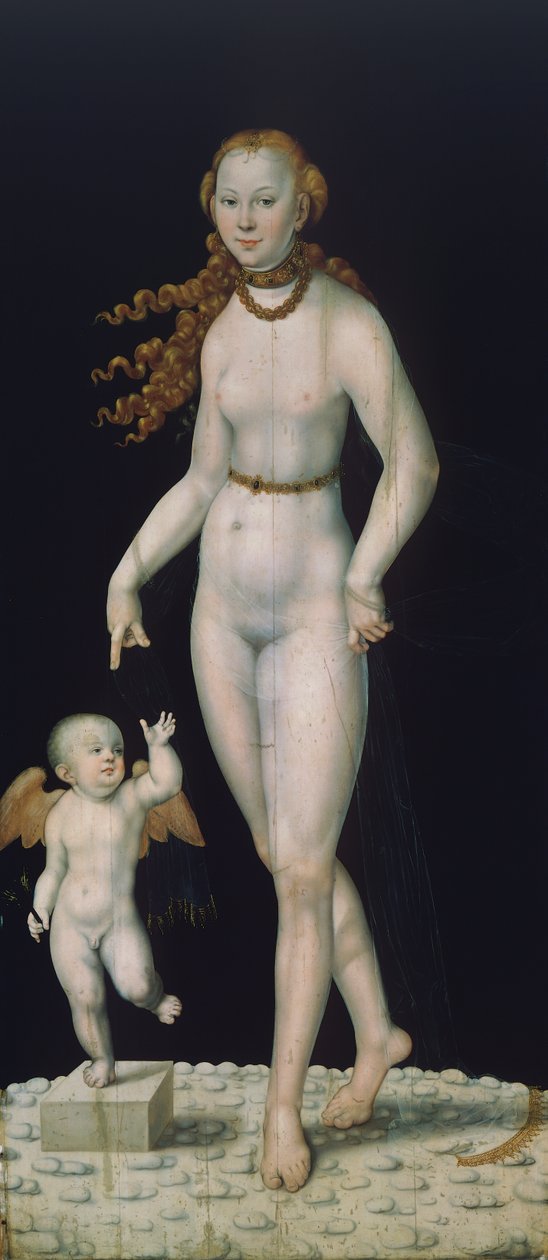 Venus and Cupid, painted on panel بواسطة لوكاس الأصغر حجما