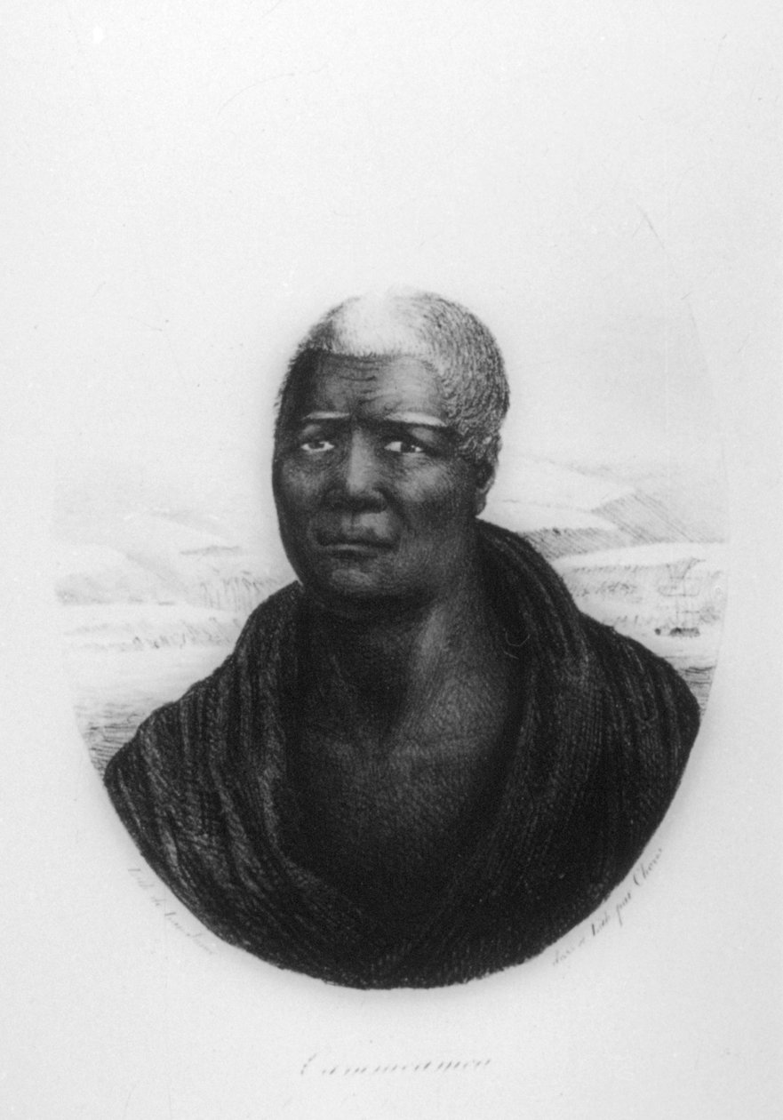 كاميهاميها الأولى ، هاواي ، 1816 بواسطة لودفيج شوريس