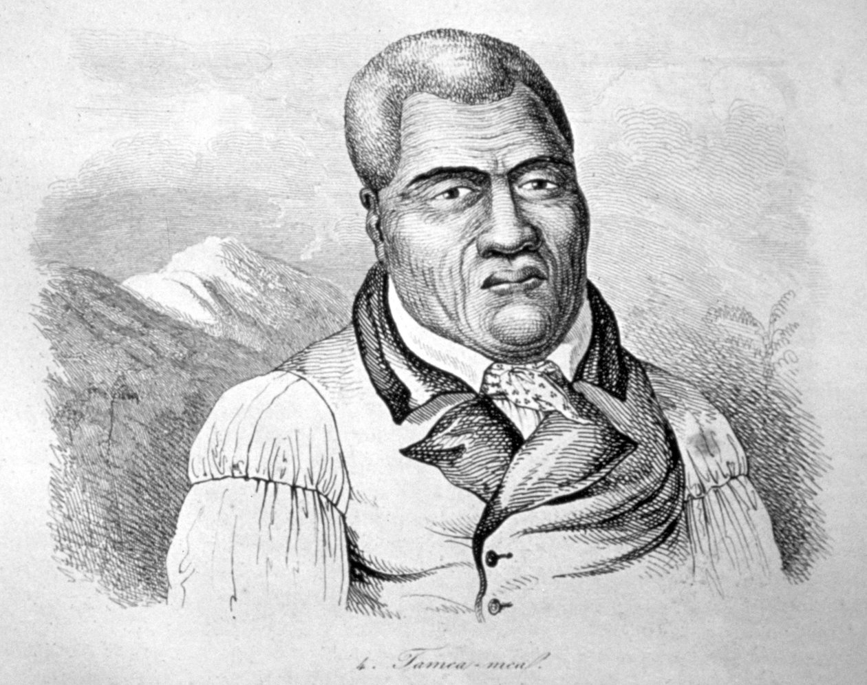 كاميهاميها الأولى ، 1770-1819 بواسطة لودفيج شوريس