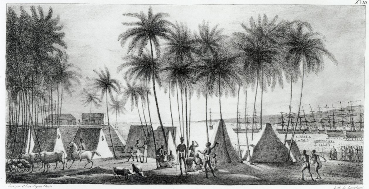 ميناء هانارورو في جزر ساندويتش ، من "فوياج بيتوريسك حول العالم" ، منقوش بجي لانجلوم (fl.1822-40) 1822 بواسطة لودفيج شوريس