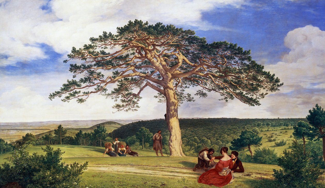 Big pine in Bruhl valley near Moding بواسطة لودفيج فرديناند شنور فون كارولسفيلد
