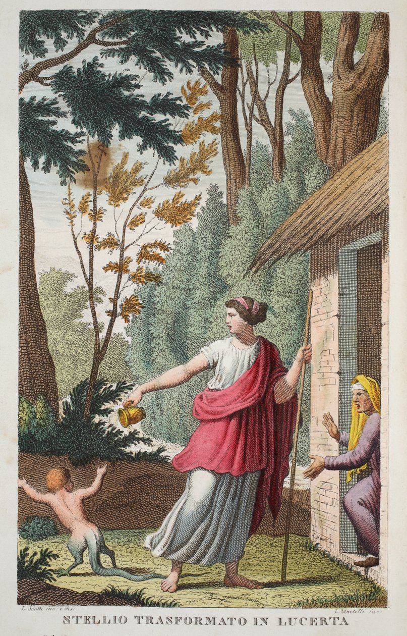 صبي في سحلية أو Ntellio Transformato في Lucerta ، الكتاب الخامس ، رسم توضيحي من تحولات Ovid ، فلورنسا ، 1832 (نقش يدوي) بواسطة لويجي أديمولو