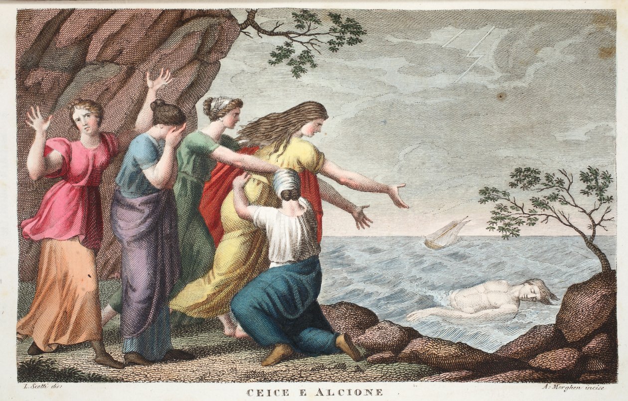 Ceyx and Alcyone or Ceice e Alcione ، الكتاب الحادي عشر ، رسم توضيحي من تحولات أوفيد ، فلورنسا ، 1832 (نقش يدوي) بواسطة لويجي أديمولو