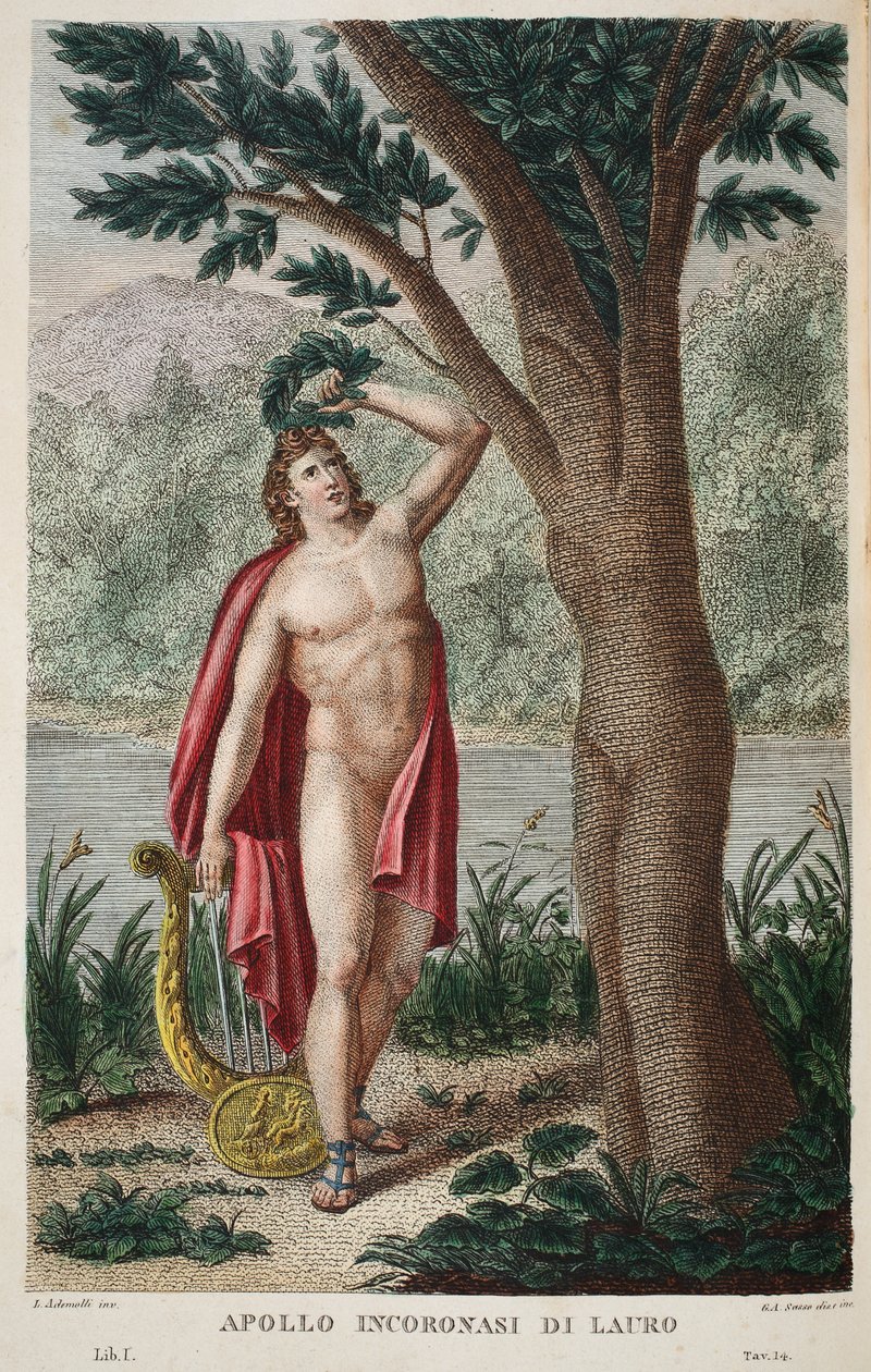 دافني في لوريل أو أبولو إنكوروناسي دي لاورو ، صورة توضيحية من Ovid&39;s Metamorphoses ، فلورنسا ، 1832 (نقش يدوي) بواسطة لويجي أديمولو