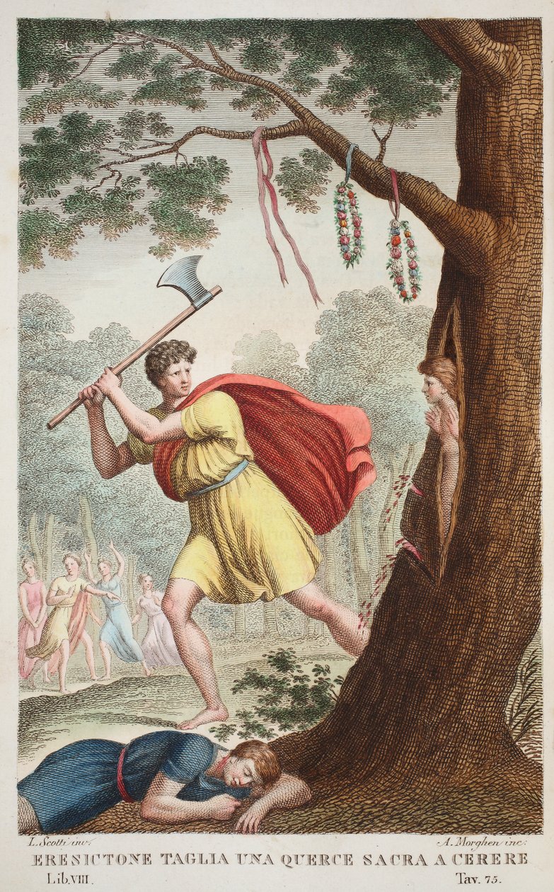Erysichthon Pride أو Eresictone Taglia una Querce sacra a Cerere ، الكتاب الثامن ، التوضيح من Ovid&39;s Metamorphoses ، فلورنسا ، 1832 (النقش اليدوي) بواسطة لويجي أديمولو