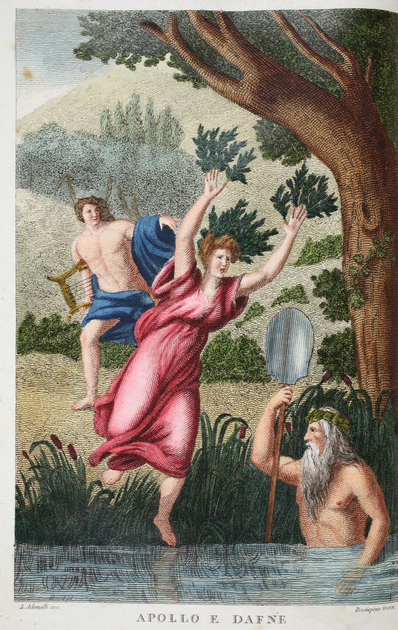 Phoebus and Daphne or Apollo e Dafne ، صورة توضيحية من Ovid&39;s Metamorphoses ، فلورنسا ، 1832 (نقش يدوي) بواسطة لويجي أديمولو