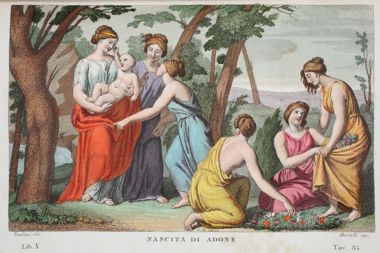 ولادة Adonis أو Nascita di Adone ، الكتاب العاشر ، رسم توضيحي من تحولات أوفيد ، فلورنسا ، 1832 (نقش يدوي) بواسطة لويجي أديمولو