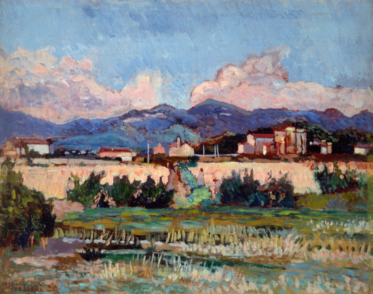 منازل وحدائق في Ardenza ، بواسطة Ulvi Liegi (1858-1939) ، زيت على لوح ، 27x34 سم بواسطة لويجي ليفي