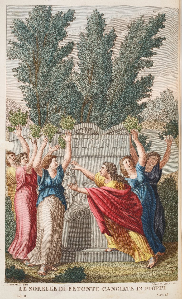 هيليادس في الأشجار التي تنتج العنبر أو Le Sorrelle يموت Fetonte Cangiate في Pioppi ، التوضيح من Ovid&39;s Metamorphoses ، فلورنسا ، 1832 (النقش اليدوي) بواسطة لويجي أديمولو
