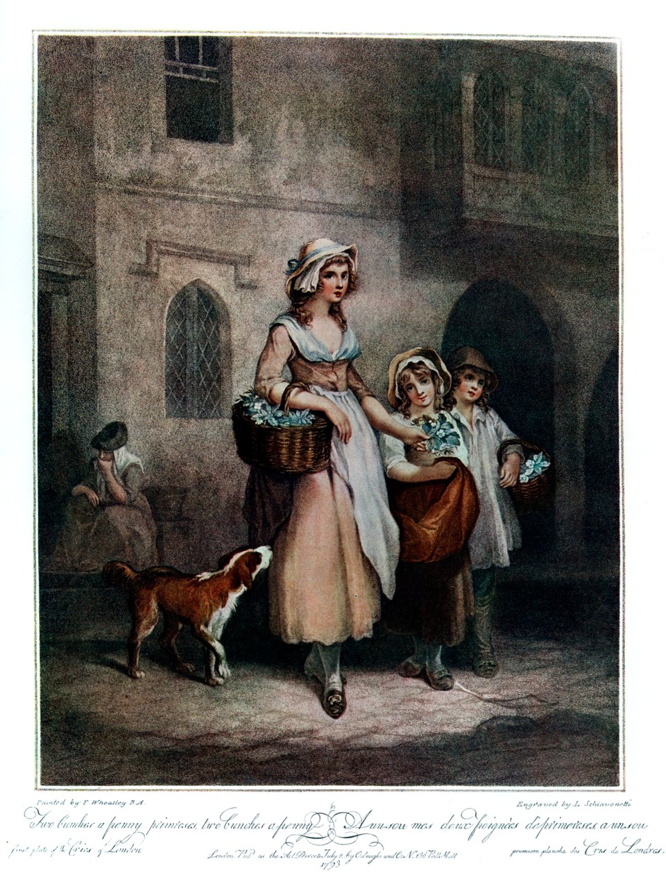 اثنين من عناقيد بيني ، باقتان بيني ، 1793 ، 1910 بواسطة لويجي شيافونيتي