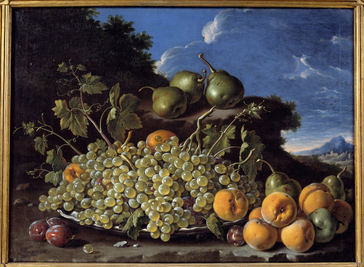 العنب والكمثرى والخوخ والبرقوق لوحة لويس ميلينديز (1716-1780) بواسطة لويس إيجيديو مينينديز أو ميلينديز