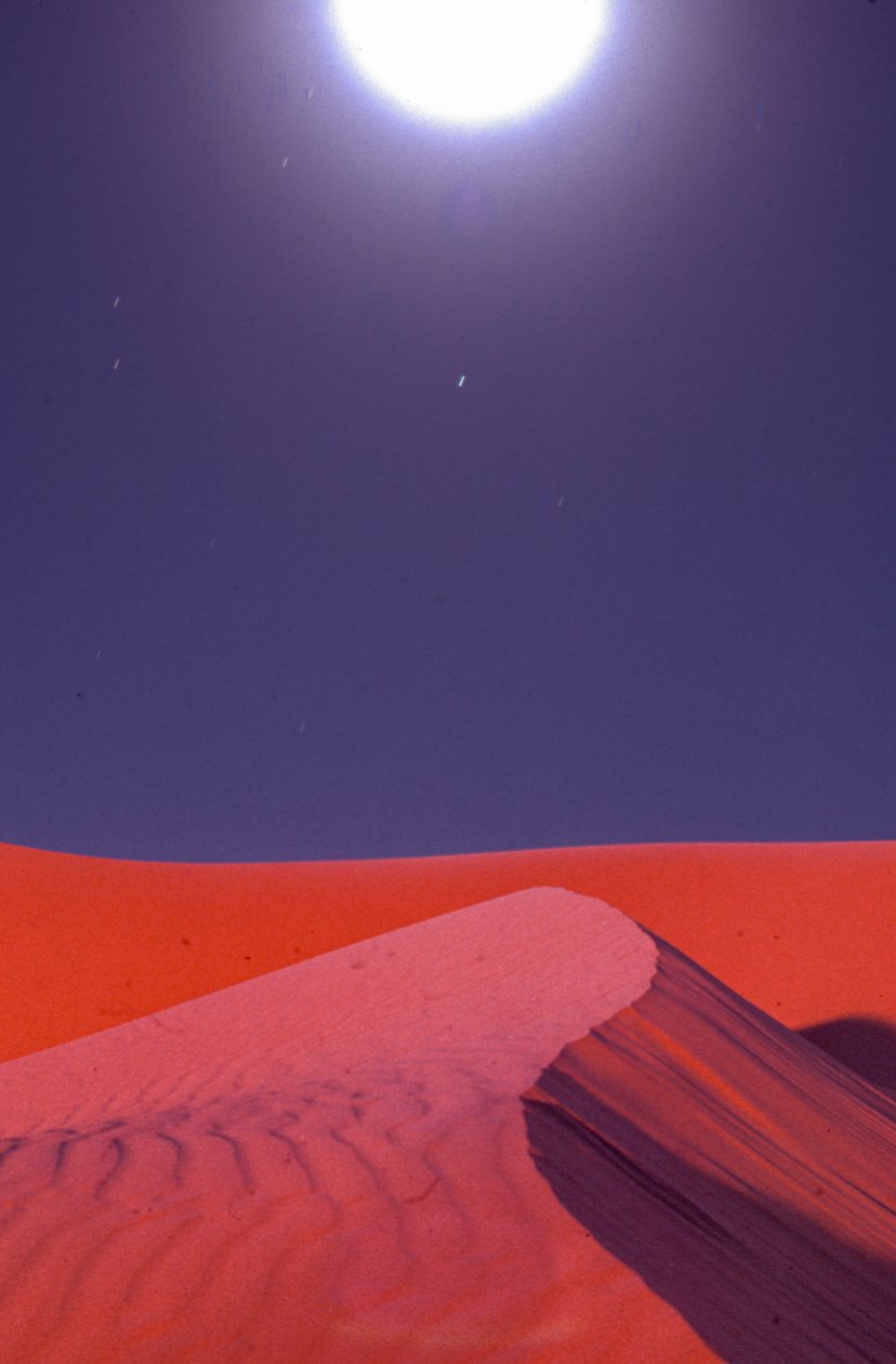  بواسطة لين أبركرومبي