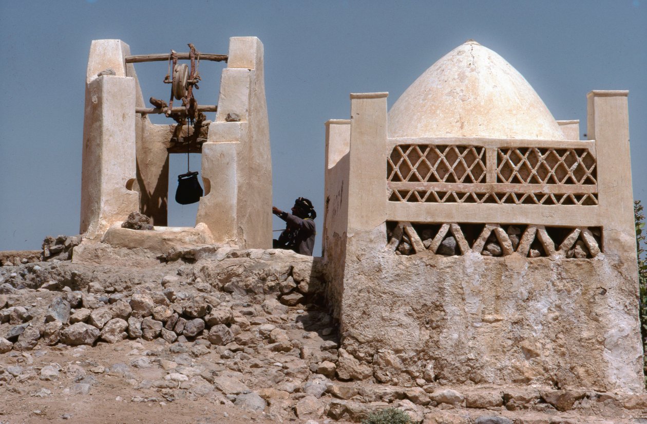  بواسطة لين أبركرومبي