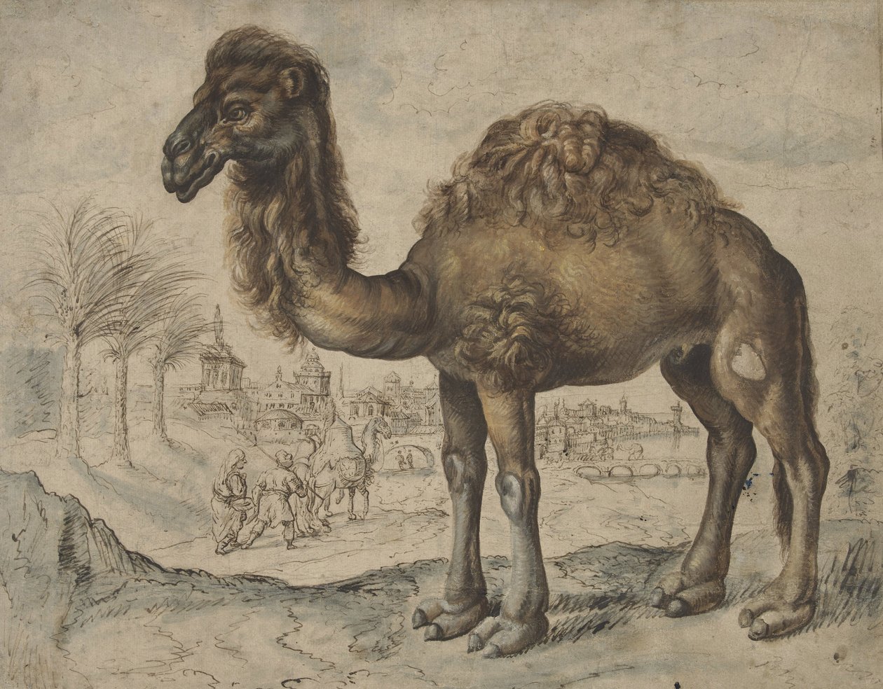 Dromedary في منظر طبيعي شرقي مع مدينة ، 1600 (حبر وفرشاة على ورق) بواسطة Maarten de after Vos
