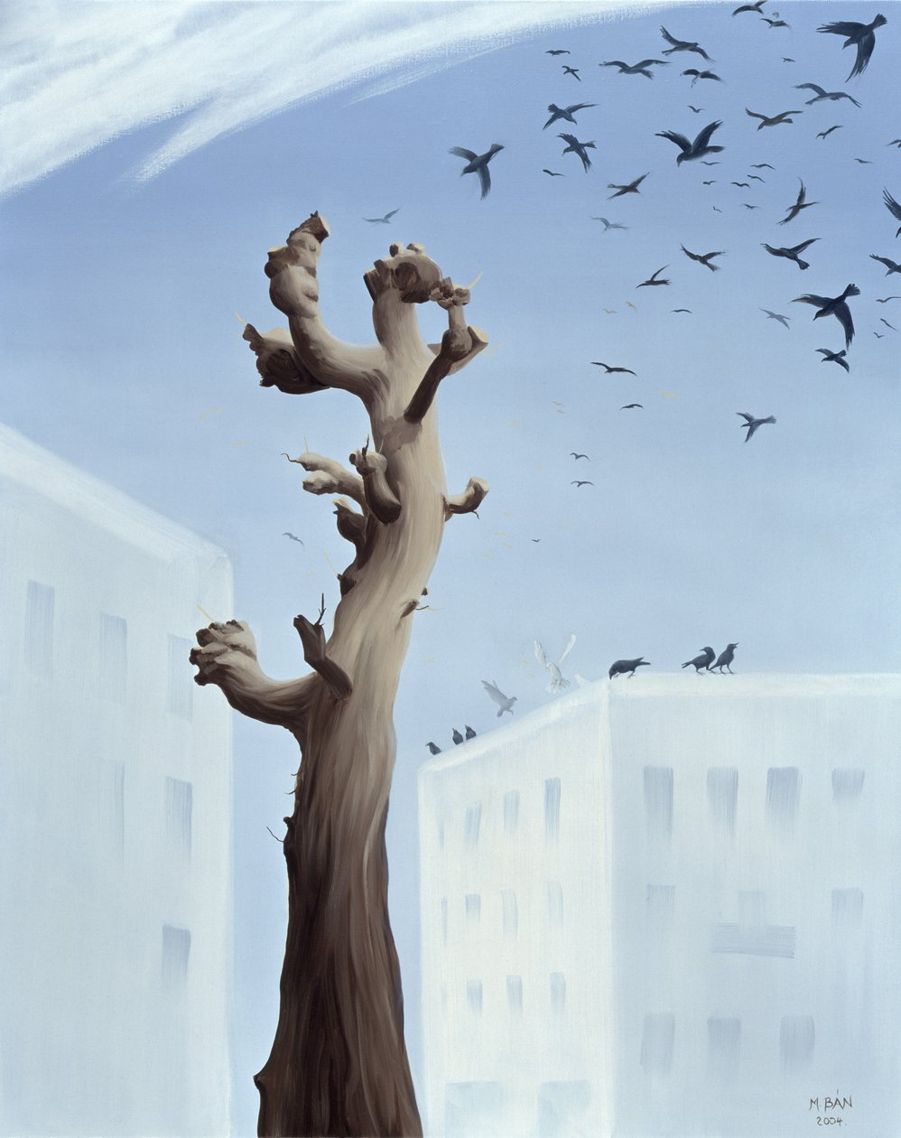 كونسترنيشن ، 2004 بواسطة Magdolna Ban