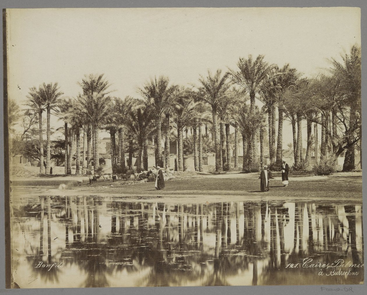 رجال مع ماعز تحت أشجار النخيل بجانب المياه في بدريشن Caire، Palmie [(...)] à Bedrecken (العنوان على الكائن) بواسطة ميزون بونفيس