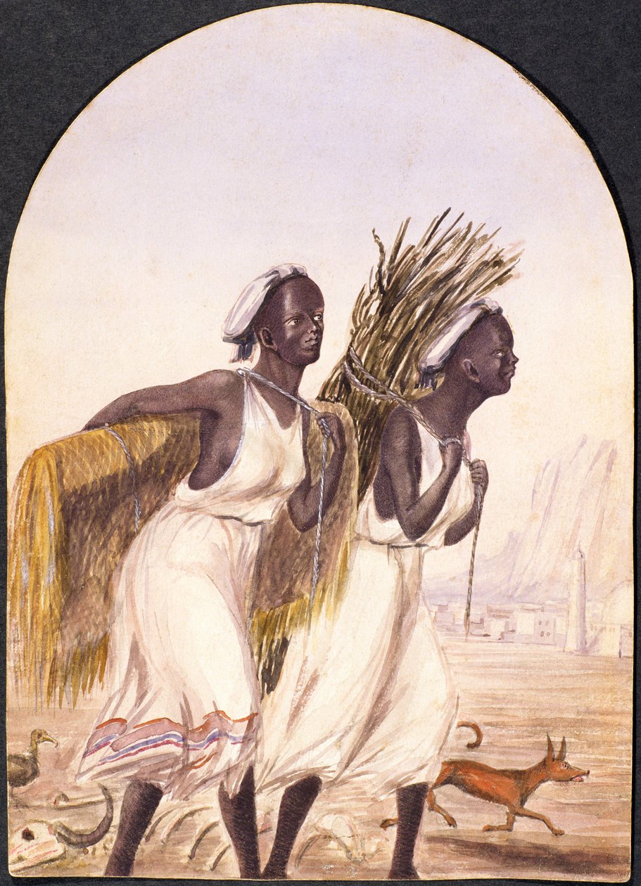 النساء الصوماليات في عدن ، 1858 (مرحاض على ورق) بواسطة ميتلاند وارين بوفيري باسلي