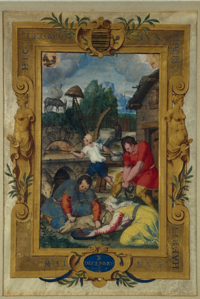 صفحة التقويم لشهر ديسمبر ، ذبح الخنازير ، من كتاب ساعات ، ج .1550-60 بواسطة Maitre des Heures de Claude Gouffier