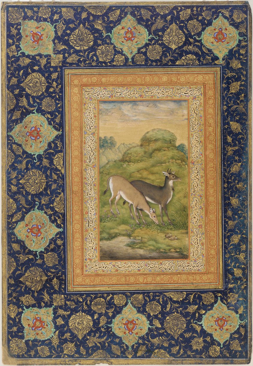 اثنين من الغزلان في المناظر الطبيعية ، مدرسة جهاندير (لون وذهب على ورق) بواسطة المنصور