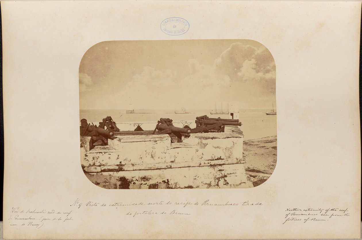  بواسطة مارك فيريز
