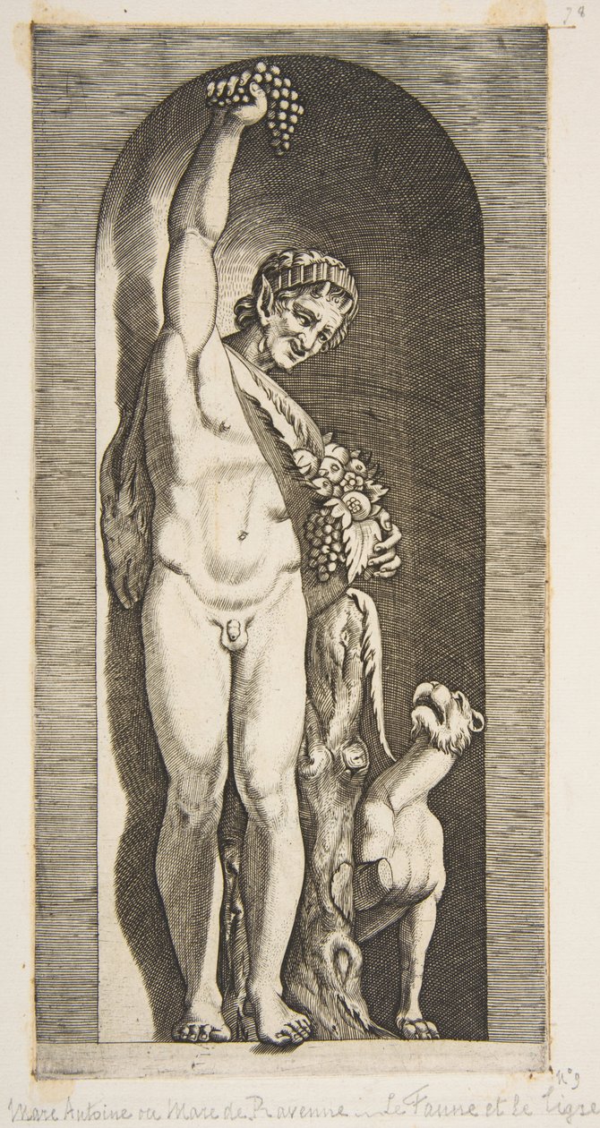 A faun يقف في مكانة يمسك عاليا مجموعة من العنب بيده اليمنى و ... ، كاليفورنيا. 1515-27. بواسطة ماركو دينتي
