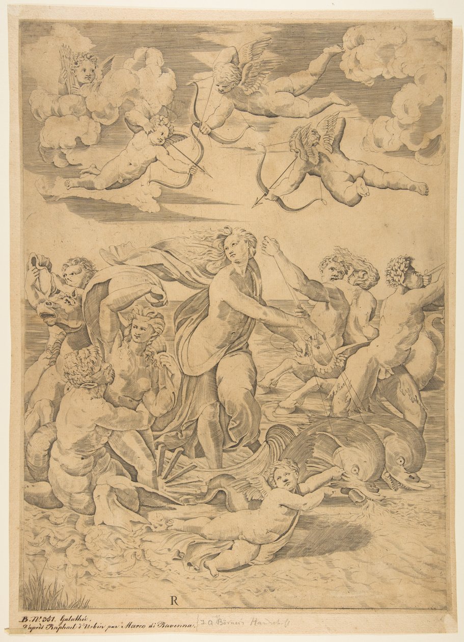 Galatea يركب في قذيفة تسحبها المياه من خلال الدلافين ، كيوبيد أدناه و ... ، كاليفورنيا. 1515-27. بواسطة ماركو دينتي