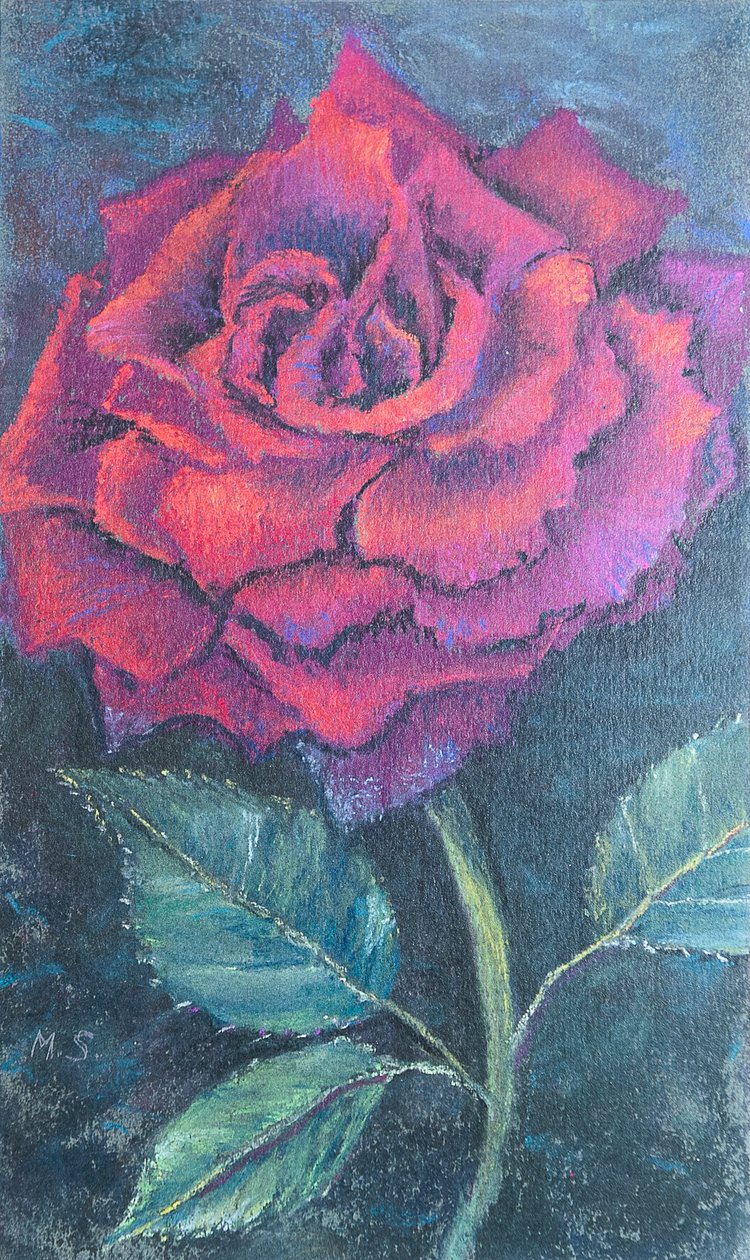 Beauty of the Rose، 2020 (باستيل) بواسطة مارجو ستاركي