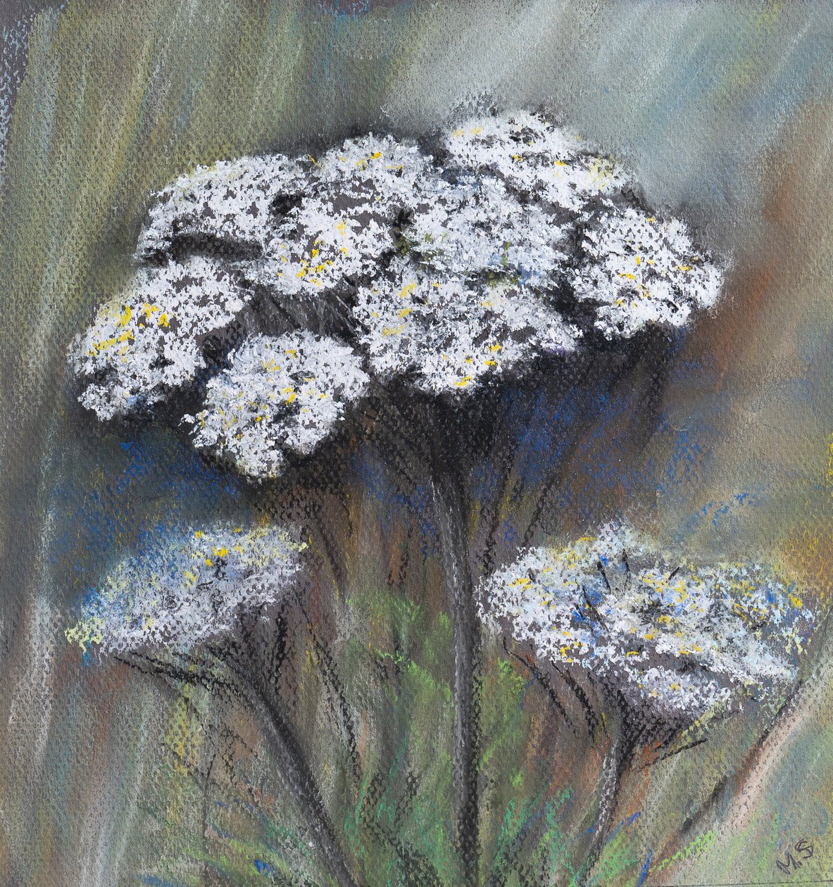 البقدونس البقري (Anthriscus Sylvestris) ، 2021 (باستيل) بواسطة مارجو ستاركي