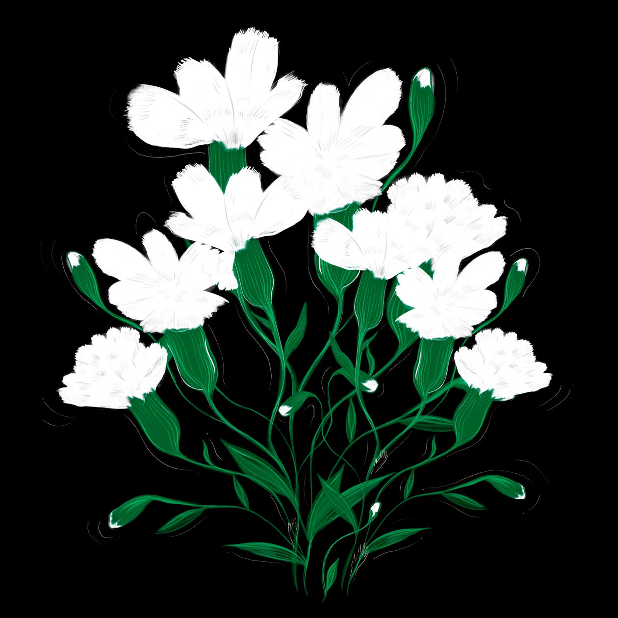 قرنفل أبيض، 2020 بواسطة ماريانا كولوكونديس