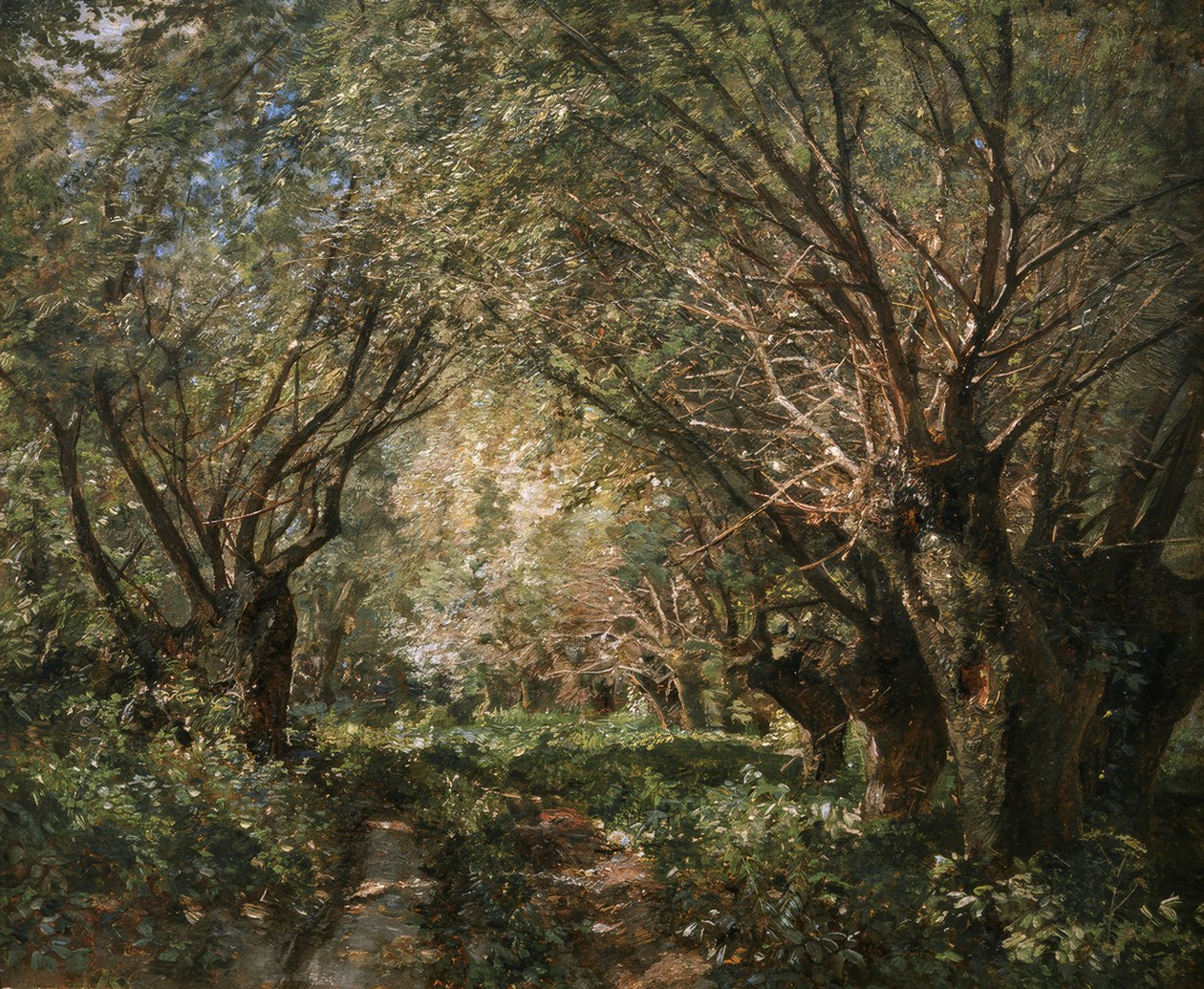 Weidenallee in Stillfried an der March بواسطة ماري ايجنر