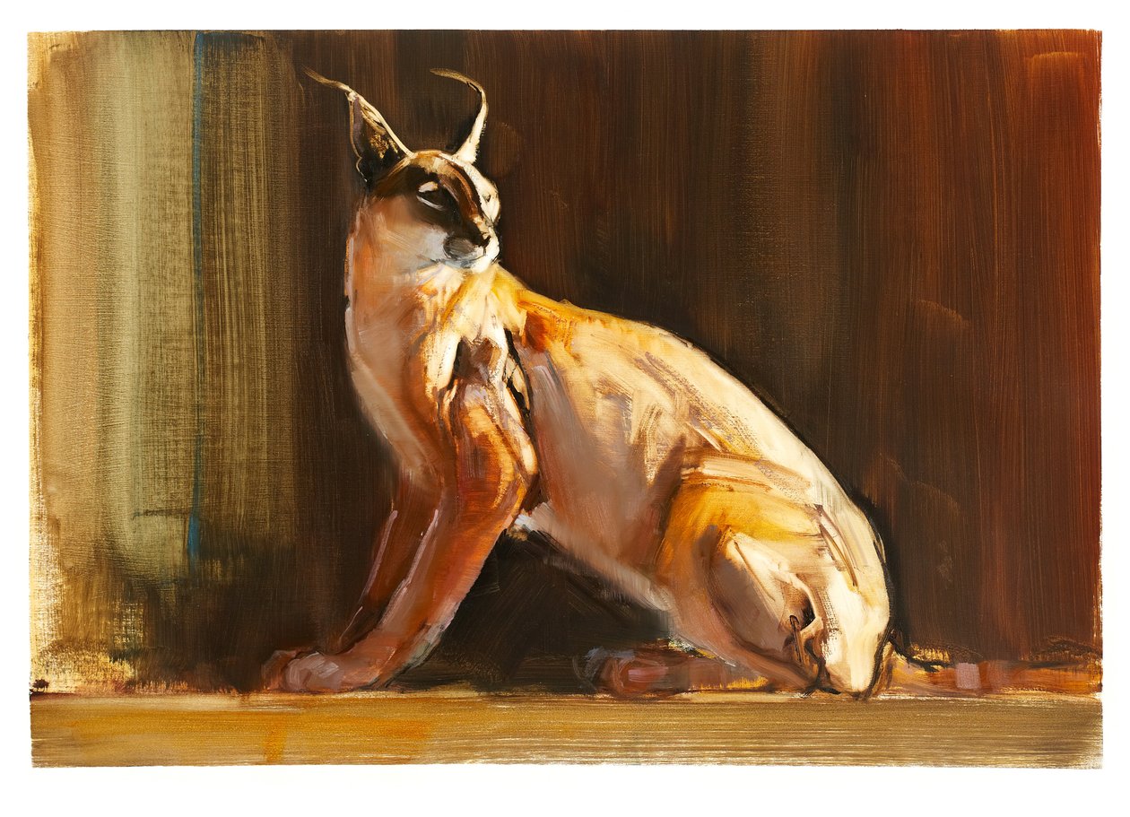 Arabian Caracal ، 2010 (زيت على ورق) بواسطة مارك ادلينجتون