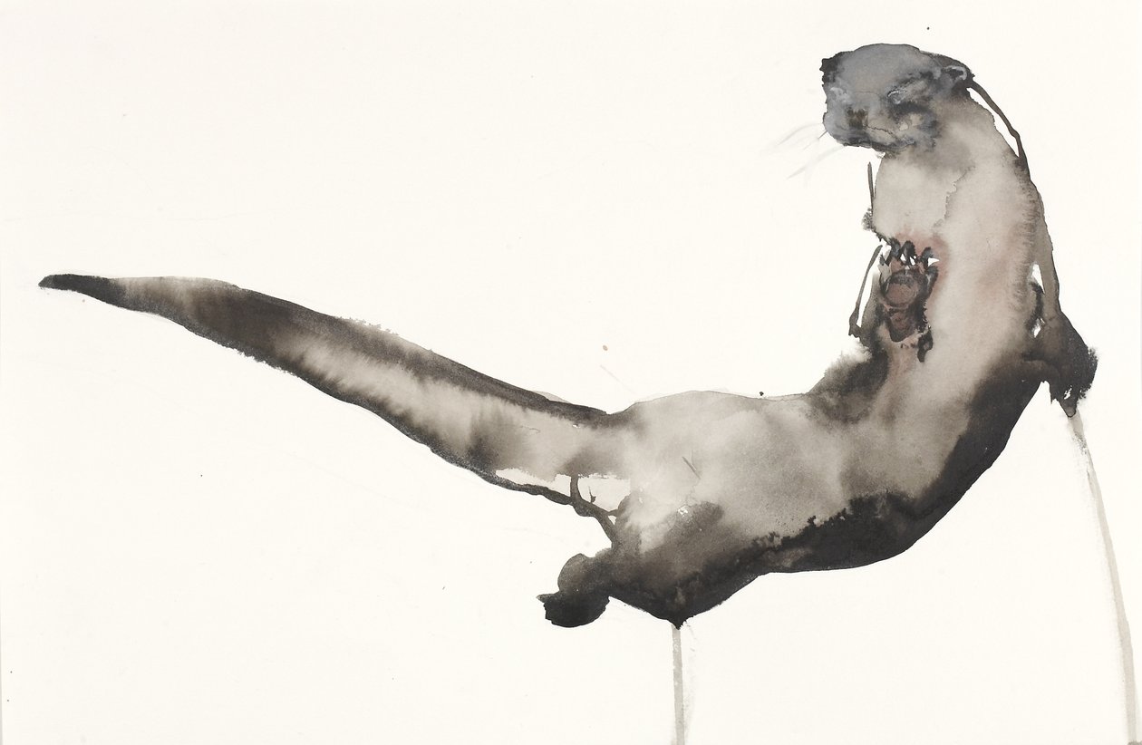 Back Awash (Otter) (حبر ومرحاض على الورق) بواسطة مارك ادلينجتون