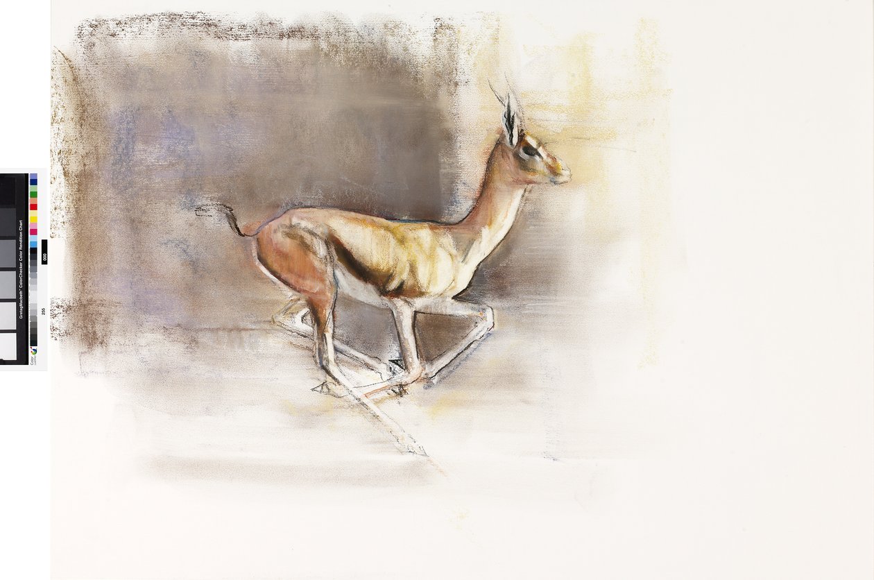 رياح الصحراء (الغزال العربي) ، 2010 (زيت على ورق) بواسطة مارك ادلينجتون