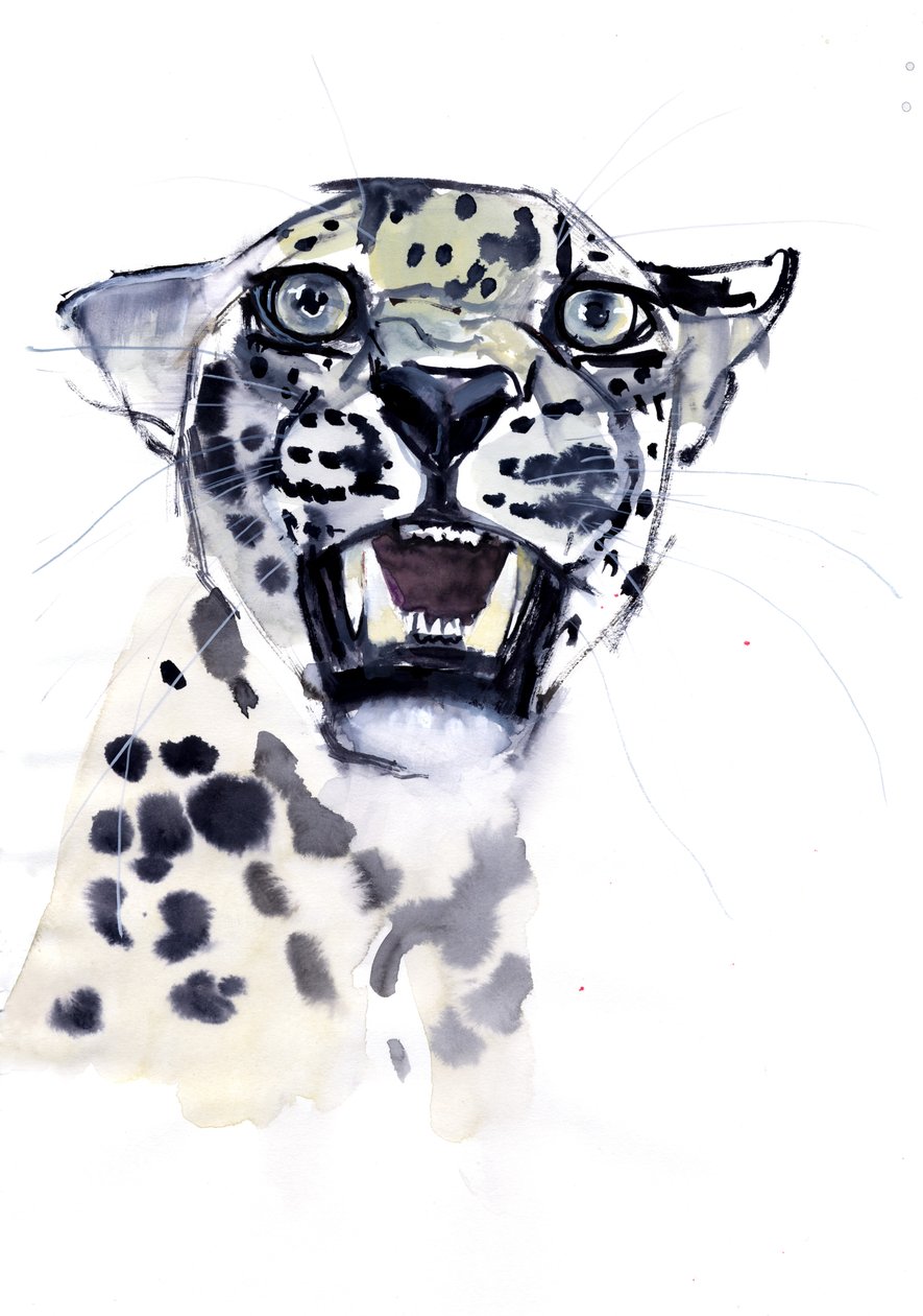 Incisor Snarl (Arabian Leopard) ، 2008 بواسطة مارك ادلينجتون