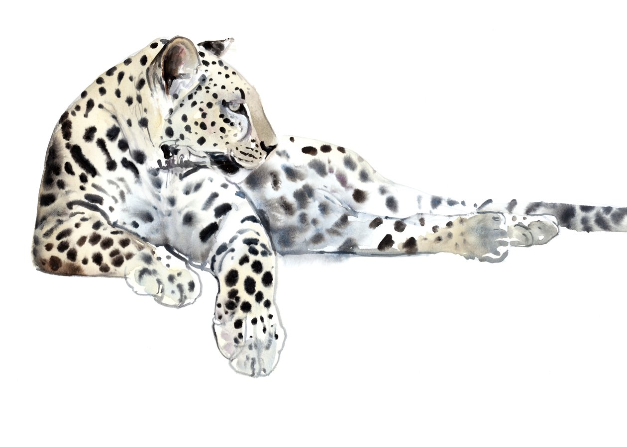 Long (Arabian Leopard) ، 2015 ، (ألوان مائية وغواش على ورق) بواسطة مارك ادلينجتون