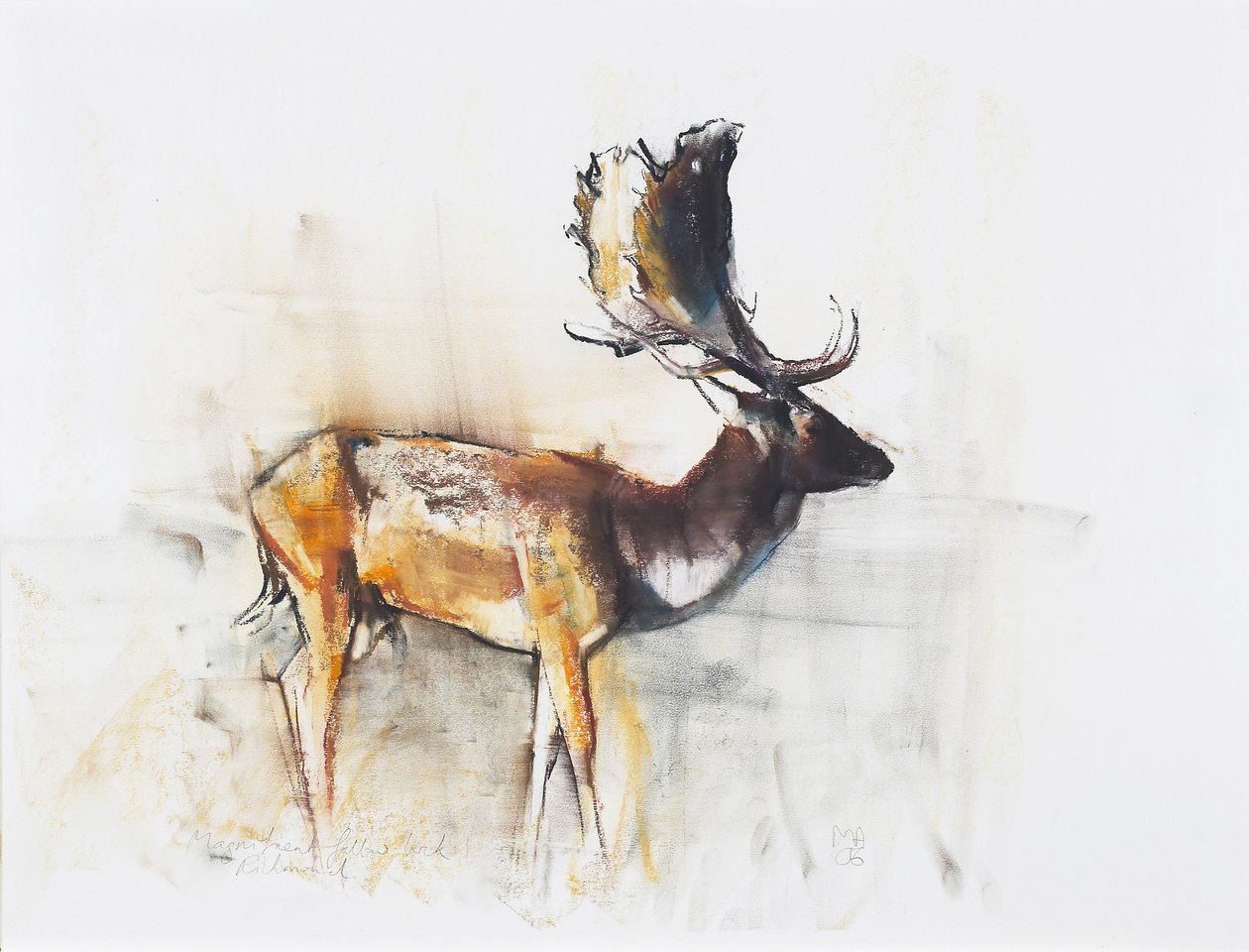 رائع Fallow Buck ، 2006 (فحم وكونت على الورق) بواسطة مارك ادلينجتون