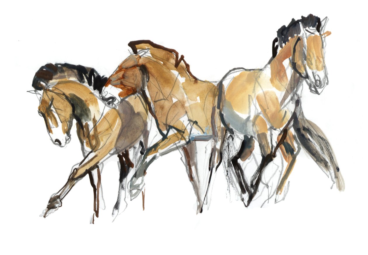 Mistral Three (Przewalski) ، 2013 (حبر sennelier ، ألوان مائية وغواش) بواسطة مارك ادلينجتون