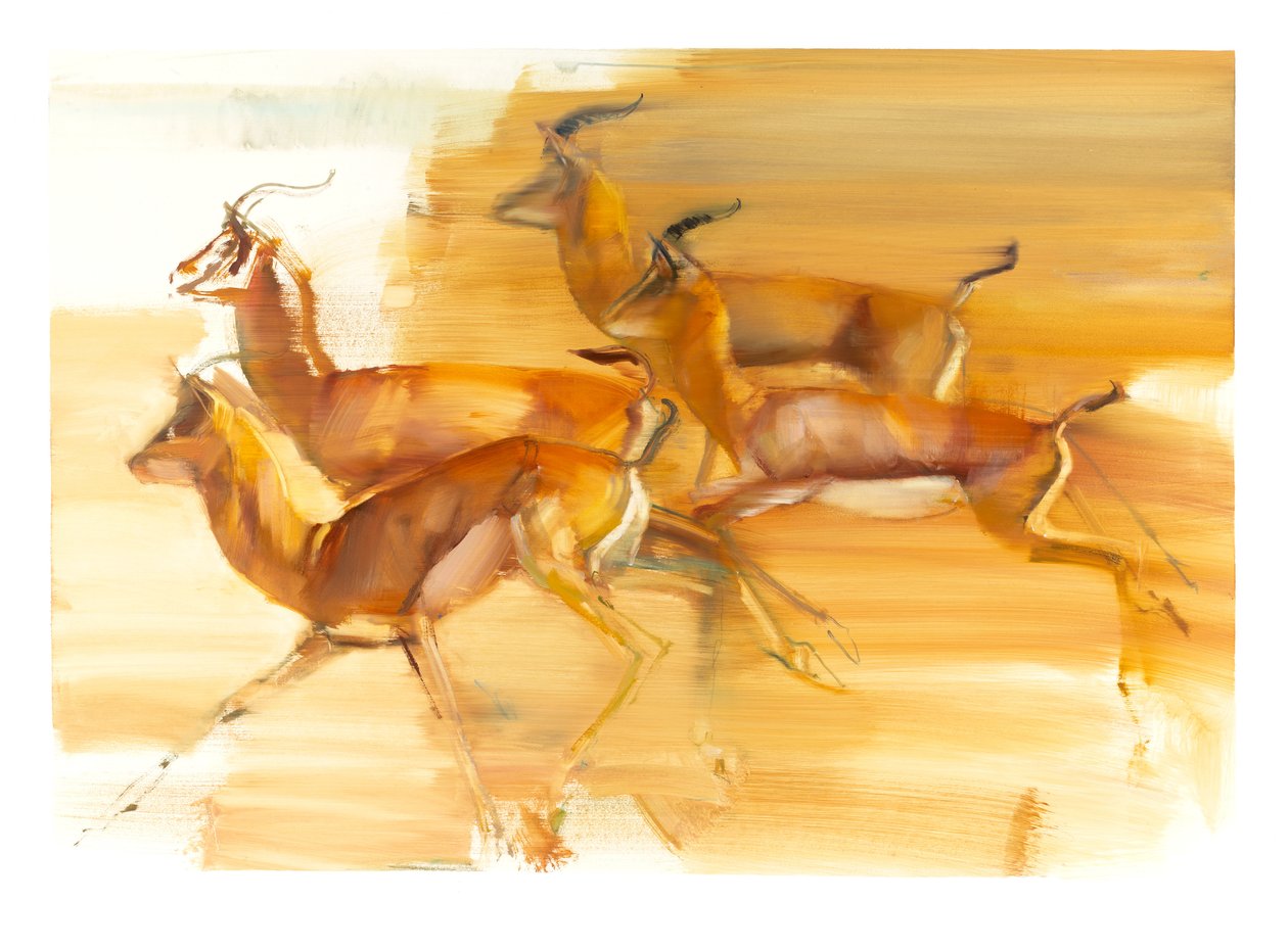 تشغيل Gazelles، 2010 (زيت على ورق) بواسطة مارك ادلينجتون