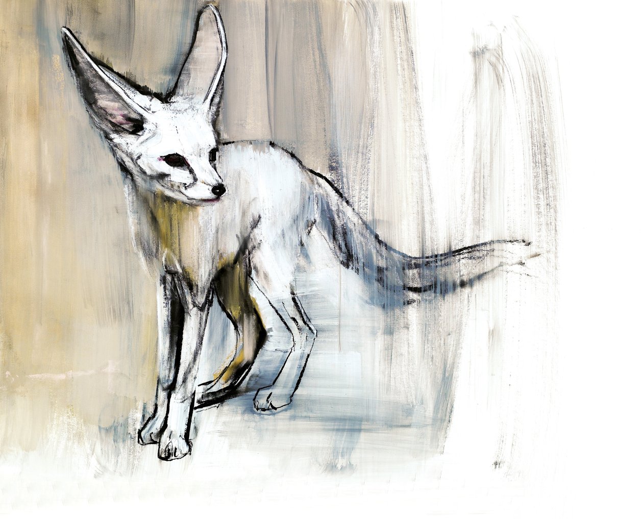 Sand Fox ، 2009 (conte und charcoal on paper) بواسطة مارك ادلينجتون