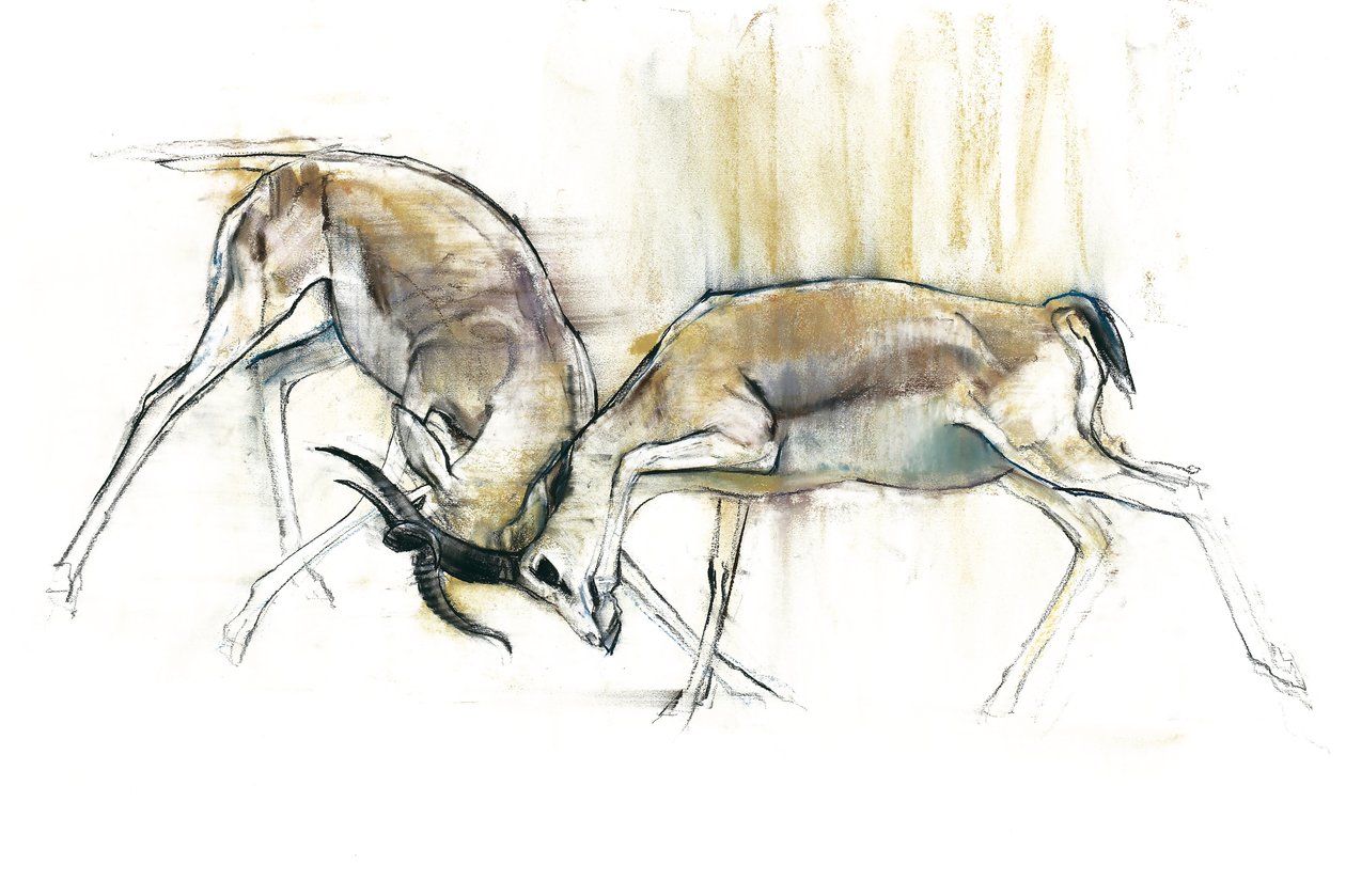 Sand Gazelles ، 2009 (كونت وفحم على ورق) بواسطة مارك ادلينجتون