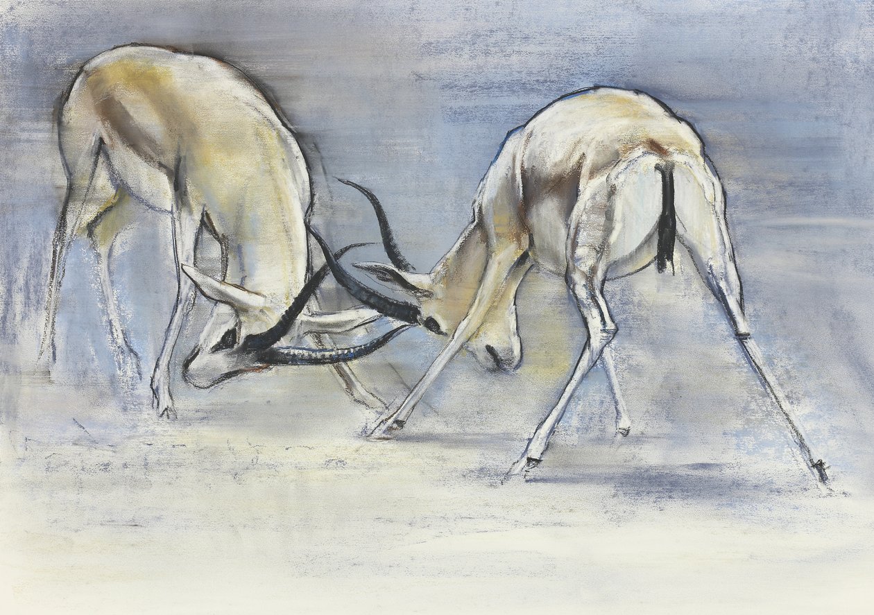 Sand Gazelles ، 2009 (كونت وفحم على ورق) بواسطة مارك ادلينجتون
