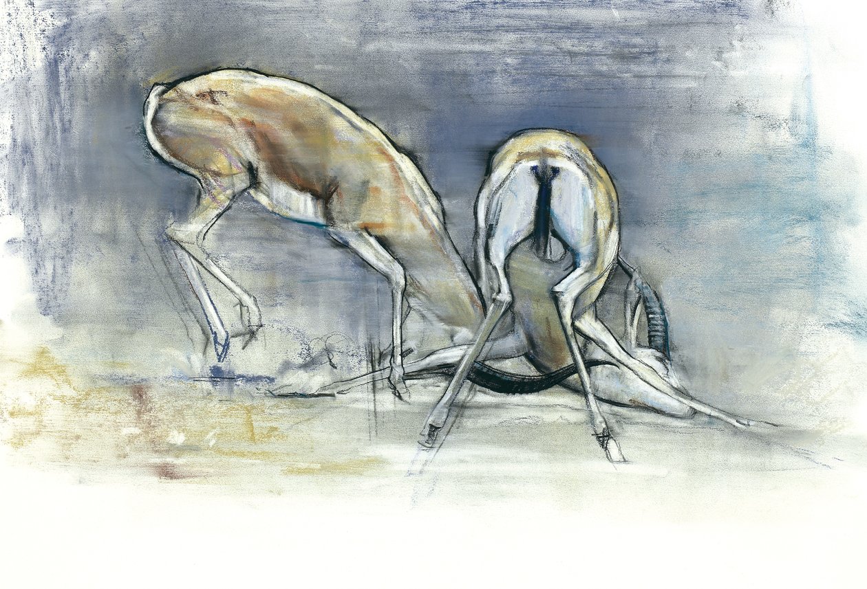 Sand Gazelles ، 2009 (كونت وفحم على ورق) بواسطة مارك ادلينجتون