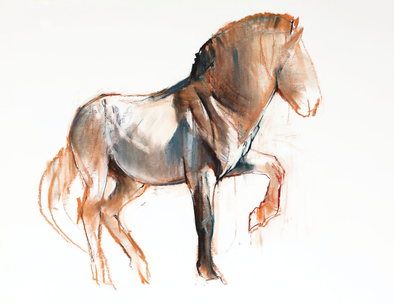 Turning (Przewalski)، 2013، (باستيل وفحم على ورق) بواسطة مارك ادلينجتون