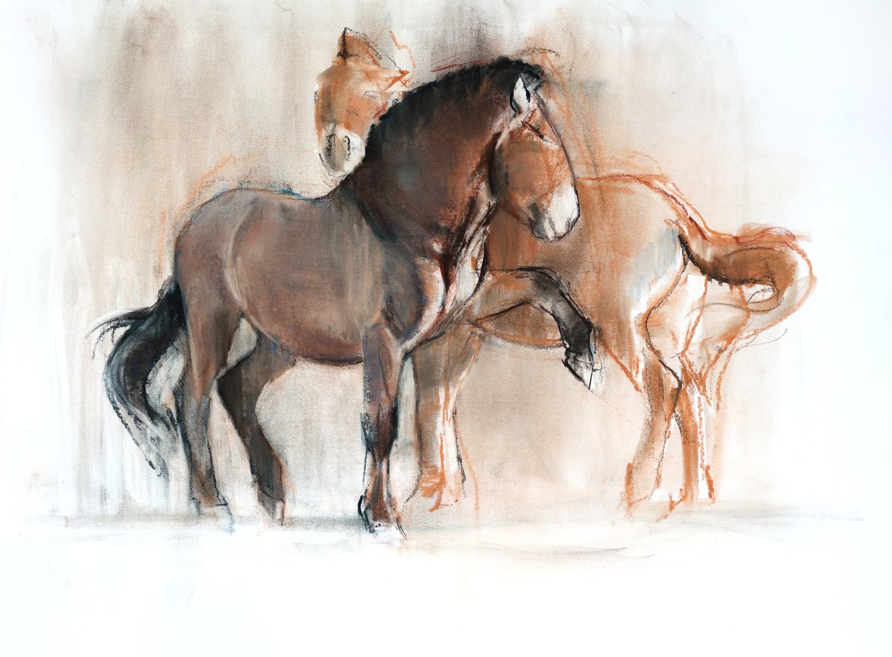 Two (Przewalski) ، 2013 ، (باستيل وفحم على ورق) بواسطة مارك ادلينجتون