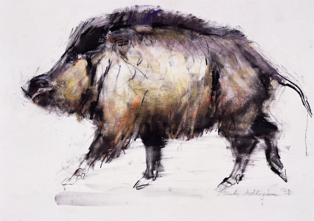 Wild Boar ، 1999 (الجرافيت والكونت والفحم على الورق) بواسطة مارك ادلينجتون