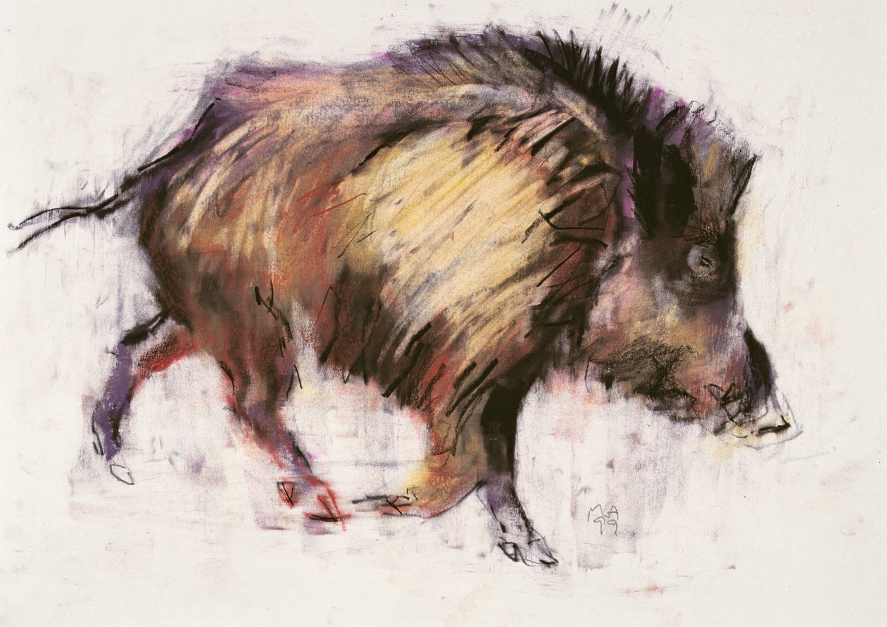 Wild Boar Trotting ، 1999 (الجرافيت والكونت والفحم على الورق) بواسطة مارك ادلينجتون