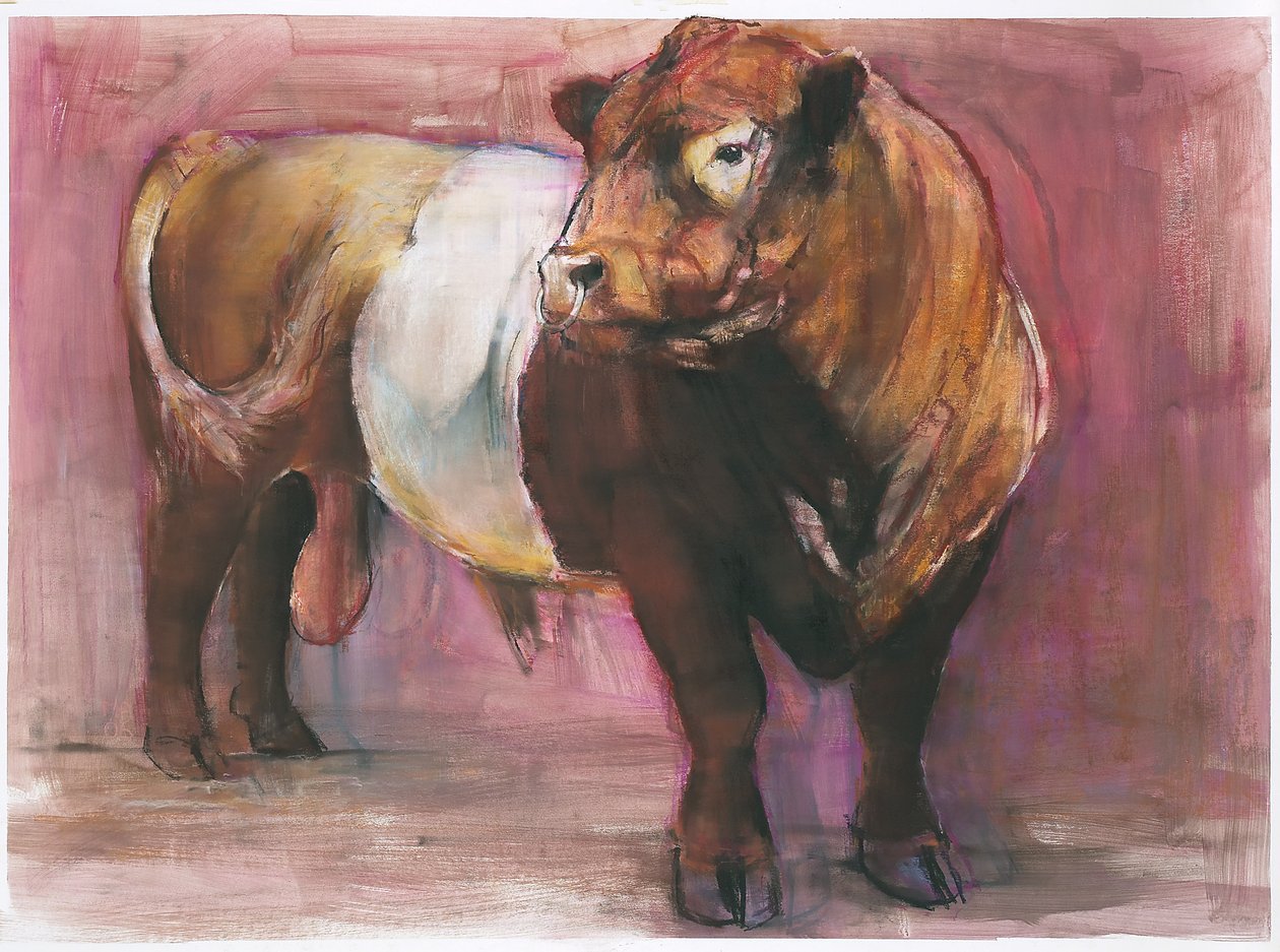 زيوس ، Red Belted Galloway Bull ، 2006 (وسائط مختلطة على ورق) بواسطة مارك ادلينجتون
