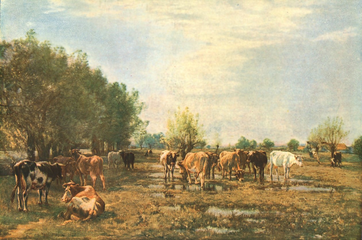 المروج الفين مع الماشية ، 1877 ، c1930. بواسطة مارك فيشر