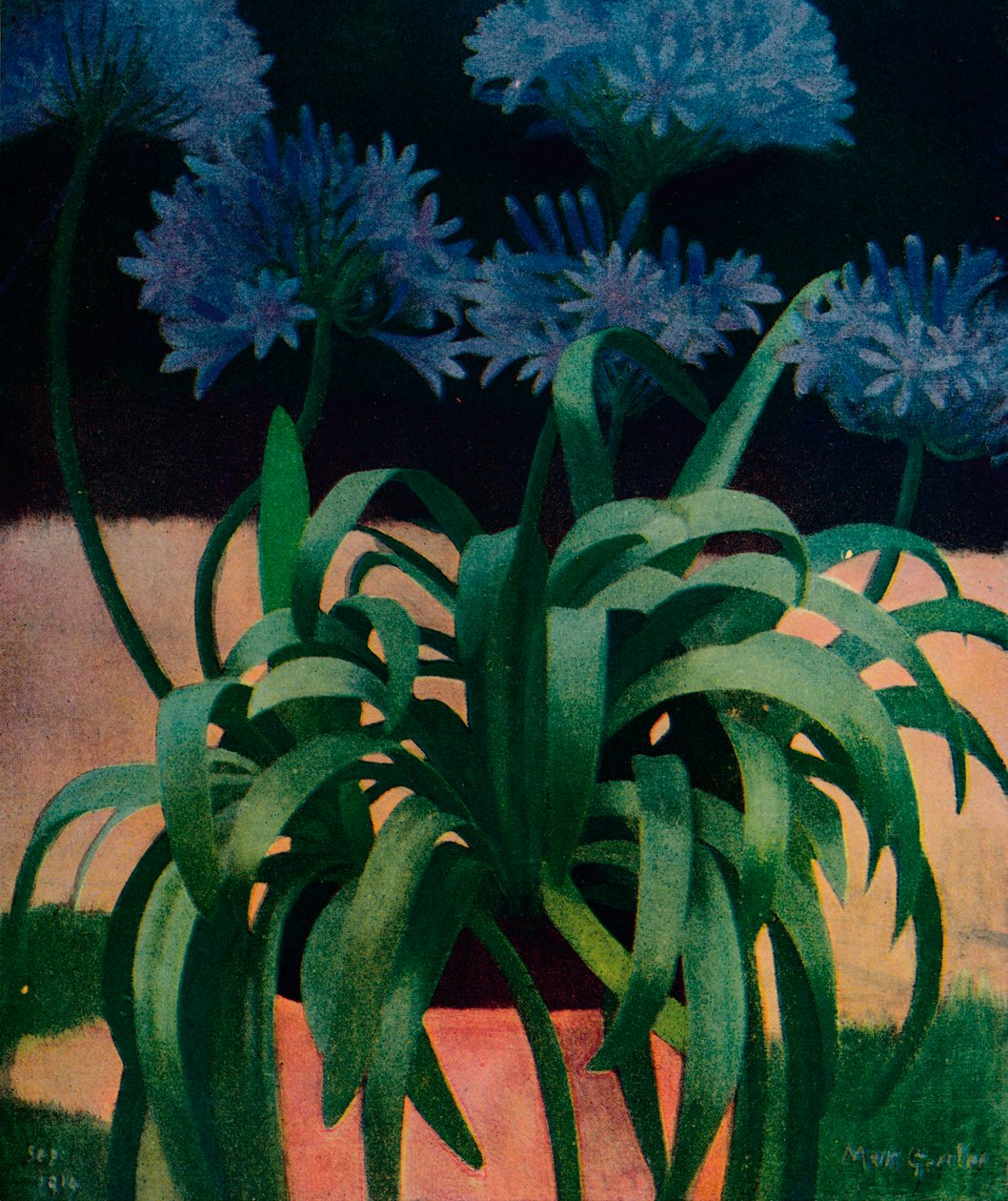Agapanthus ، 1914 ، c1932 بواسطة مارك جيرتلر